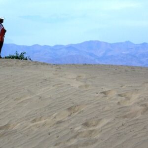 Mesquite Sand Dunes Mesquite Sand Dunes