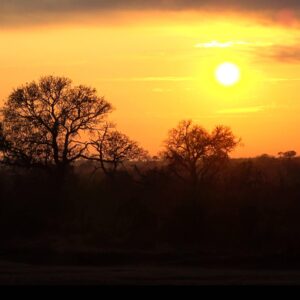 Sunrise - Kruger