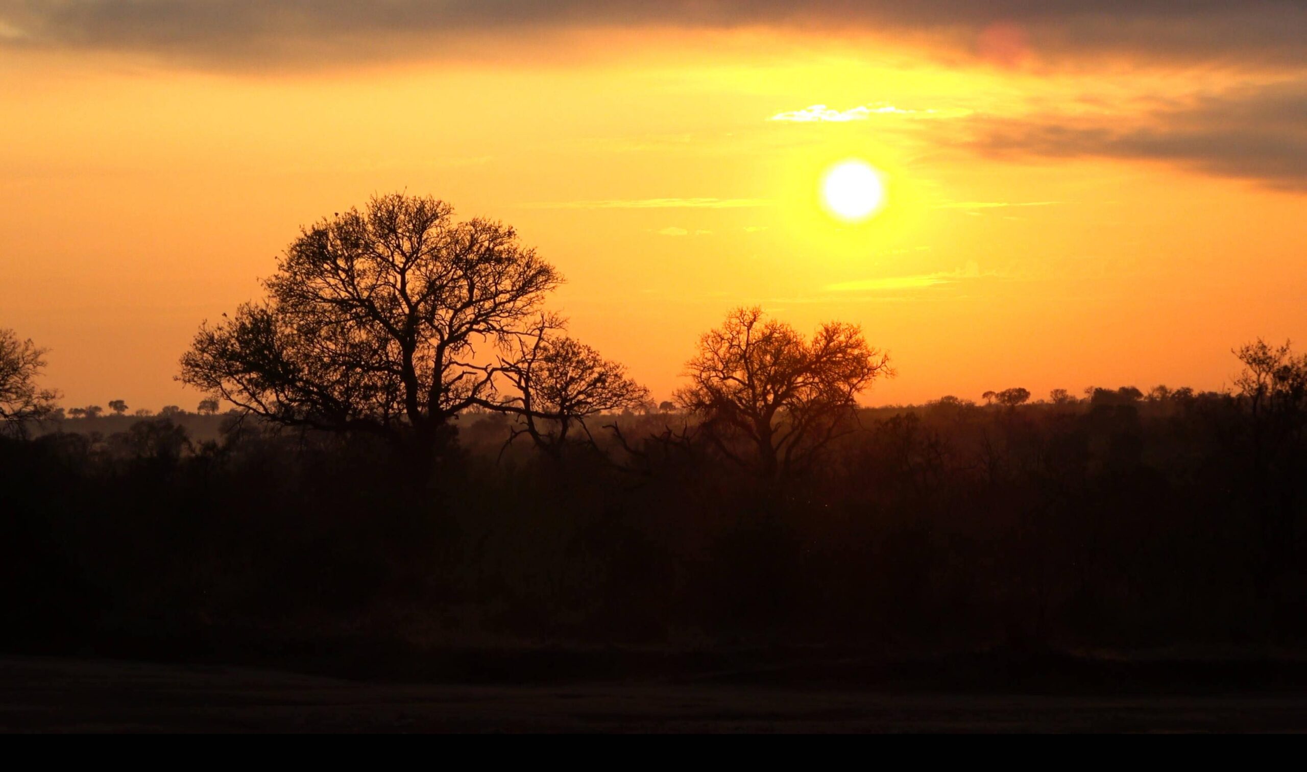 Sunrise - Kruger Sunrise - Kruger