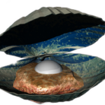 Voyages of Discovery Logo