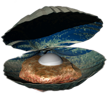 Voyages of Discovery Logo