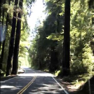 California Redwood Highway Rt 199