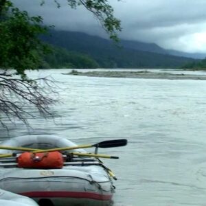 Chilkat Bald Eagle Preserve, Alaska Chilkat Bald Eagle Preserve, Alaska