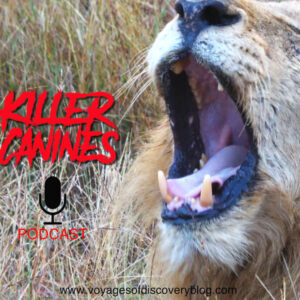 Killer Canines Podcast Killer Canines Podcast