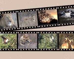 Kruger National Park Attractions Kruger National Park Attractions