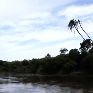 Mara River - Masai Mara National Reserve Kenya