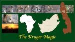 Kruger National Park in South Africa is one of the Planet's Biggest Game Reserves. It boasts of every kind of wildlife in the African flora and fauna

https://voyagesofdiscoveryblog.com/discover-the-magic-of-adventure/wildlife/best-african-game-reserves/kruger-national-park-attractions/